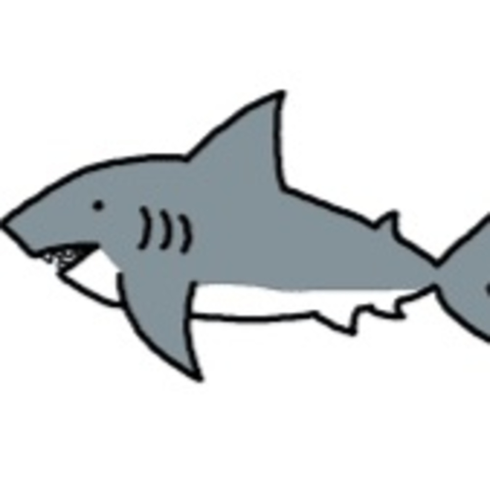 Meet your Posher, Cece